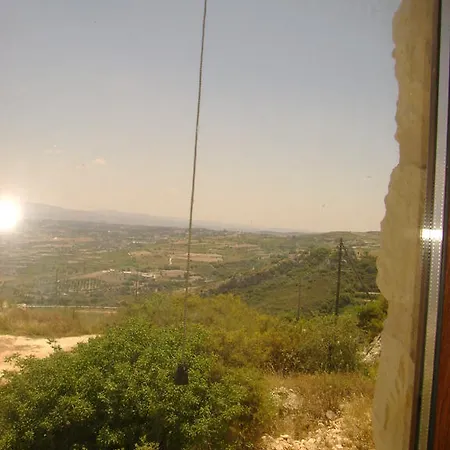 Starlit * Katikas